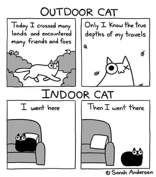 [Sarah Andersen] Outdoor Cat vs Indoor Cat