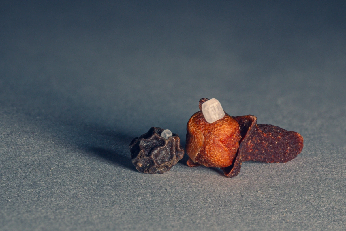 Salt on pepper, sugar on clove [OC]