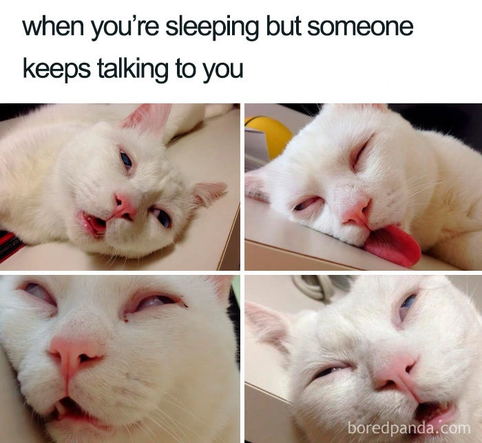 meme7-5d25b6acf0103__700.jpg (700×643)