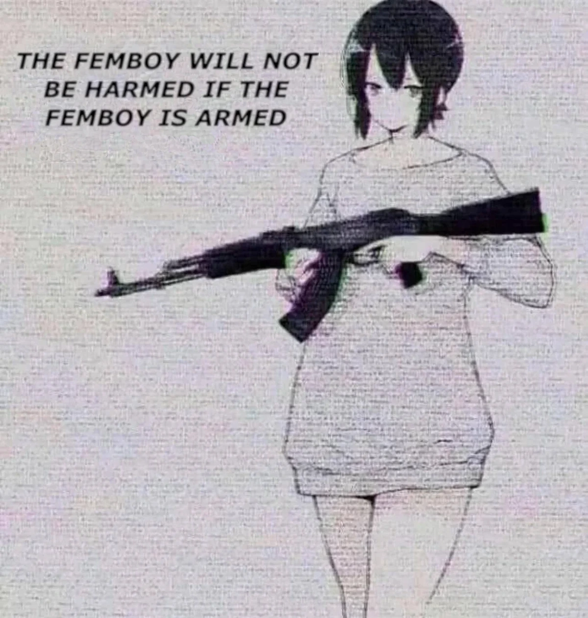 Femboys 🤝 firearms rule
