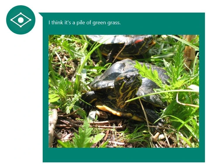 Photograph of two red-eared slider tortoises partially hidden in grass. An AI image caption says "I think it's a pile of green grass."