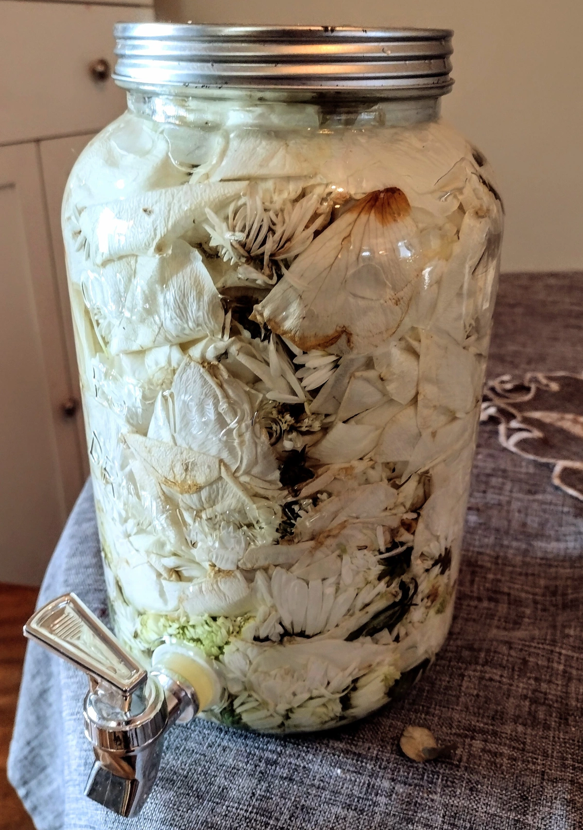 A large jar with a spout sitting on a gray tablecloth on a table. The jar is packed with white roses and daisies soaking in water.