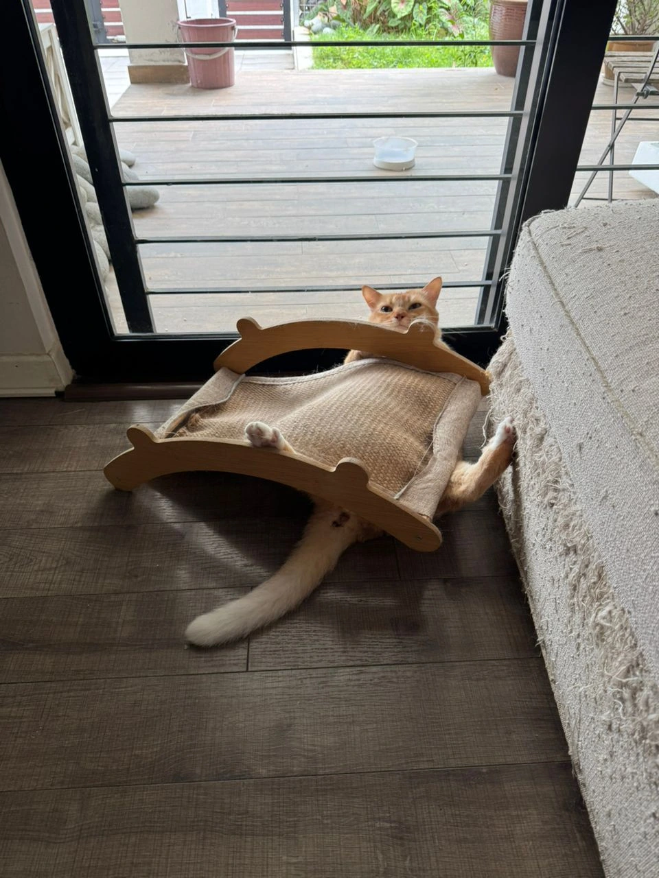 Can't have 1 day without drama