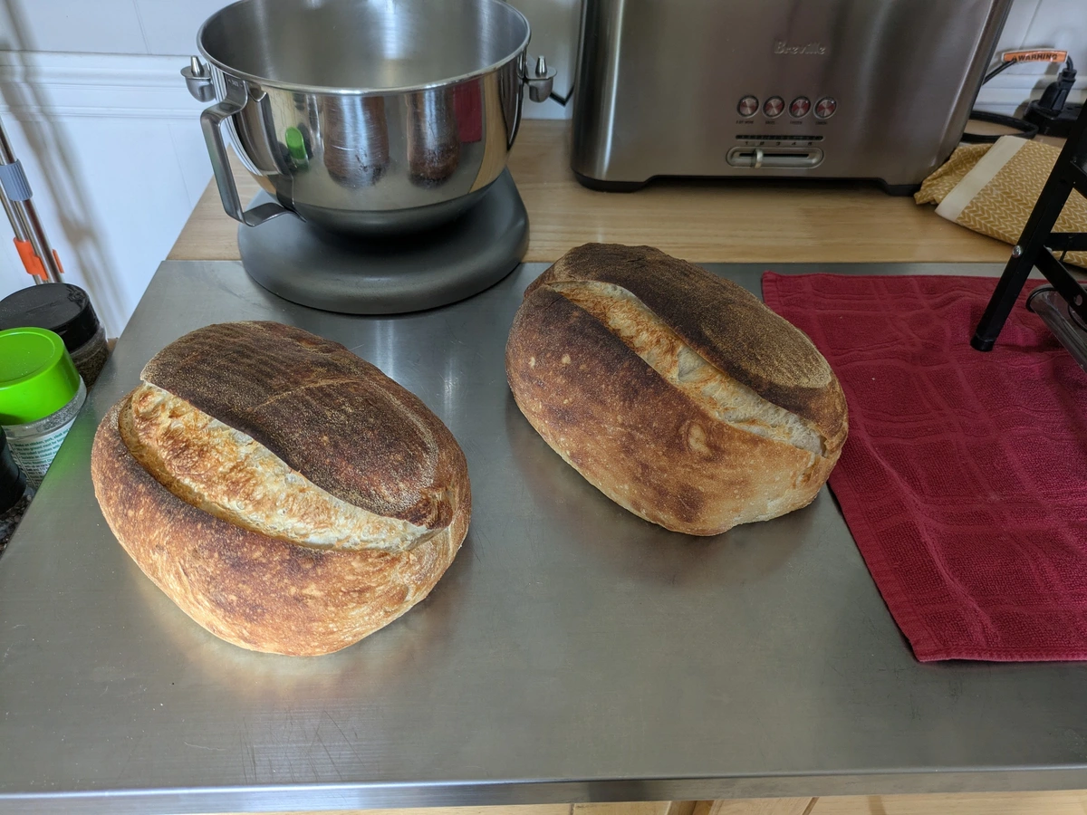 two bastards sitting on a counter.