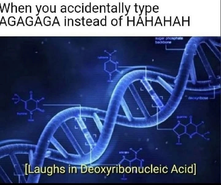 agagaga