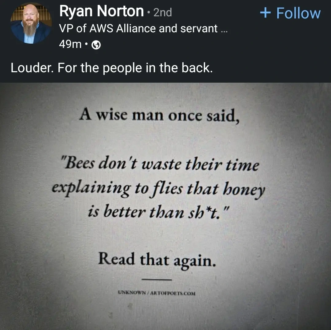 image post: "A wise man once said bees don't waste their time explaining to flies that honey is better than shit.

read that again."

The caption for the post says louder for the people at the back. VP of AWS alliance and servant...