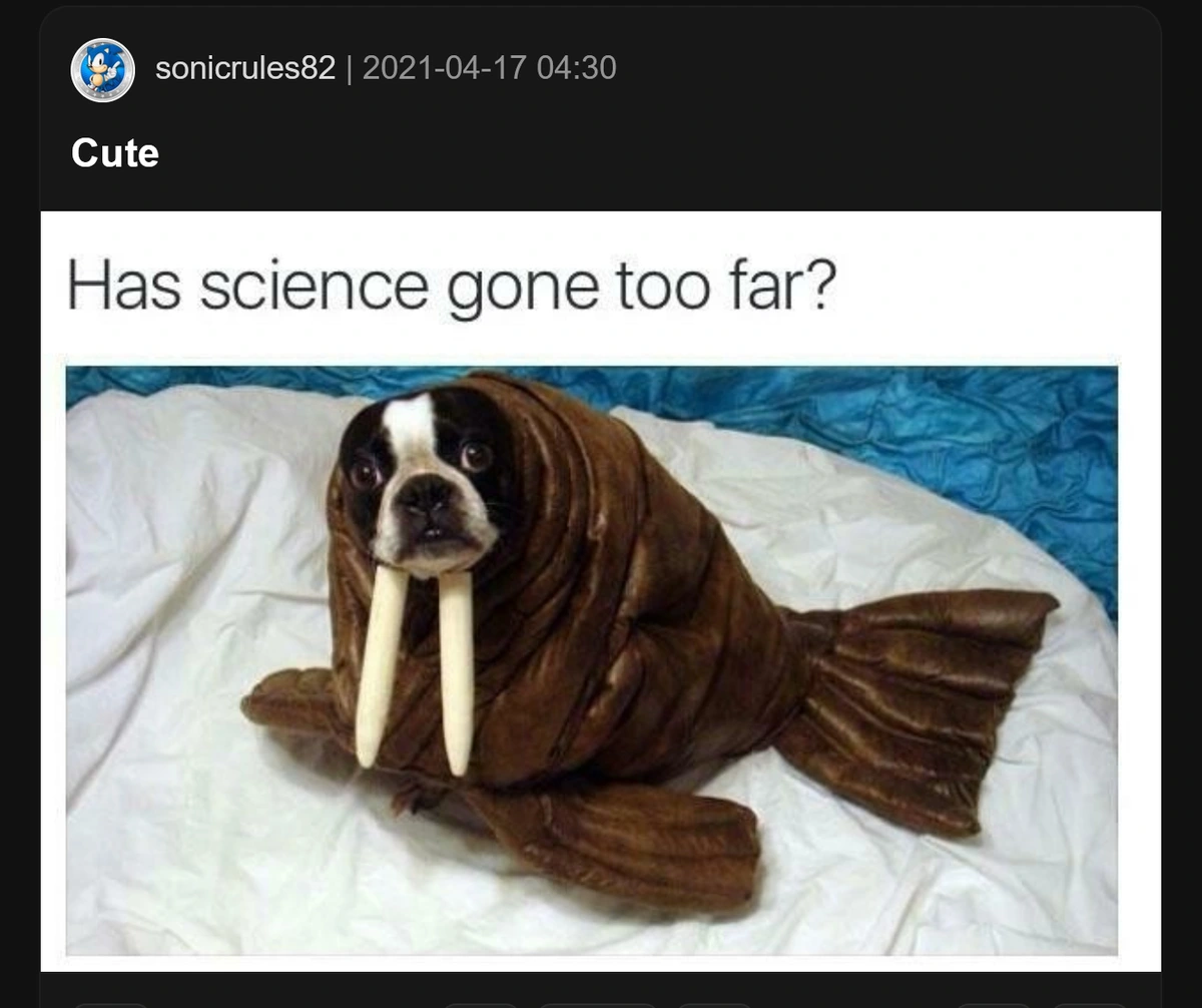 I think he's not happy about it
