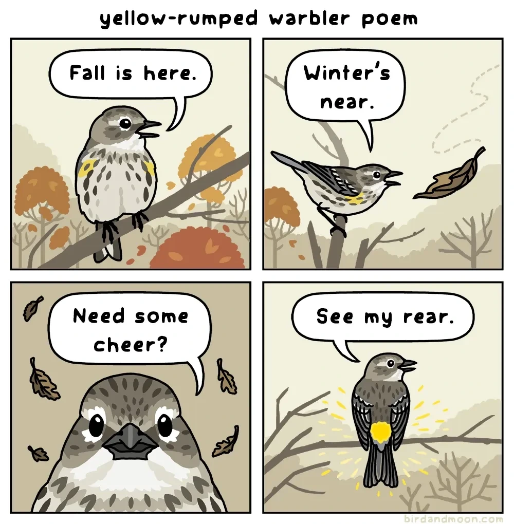 Yellow Rumped Warbler Poem