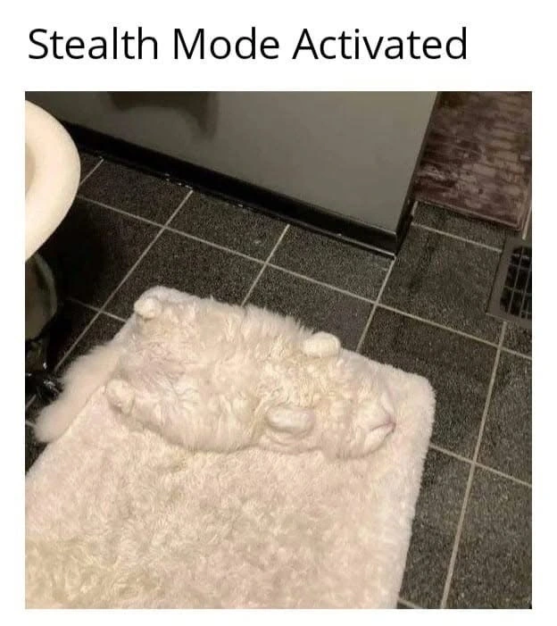 Stealth Mode