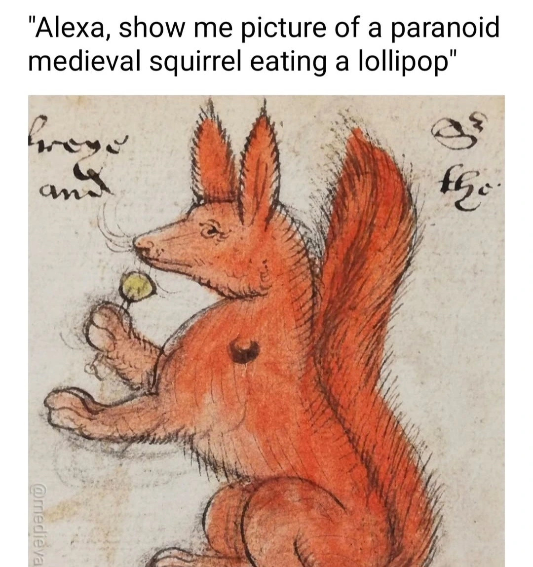 So that's what they look like