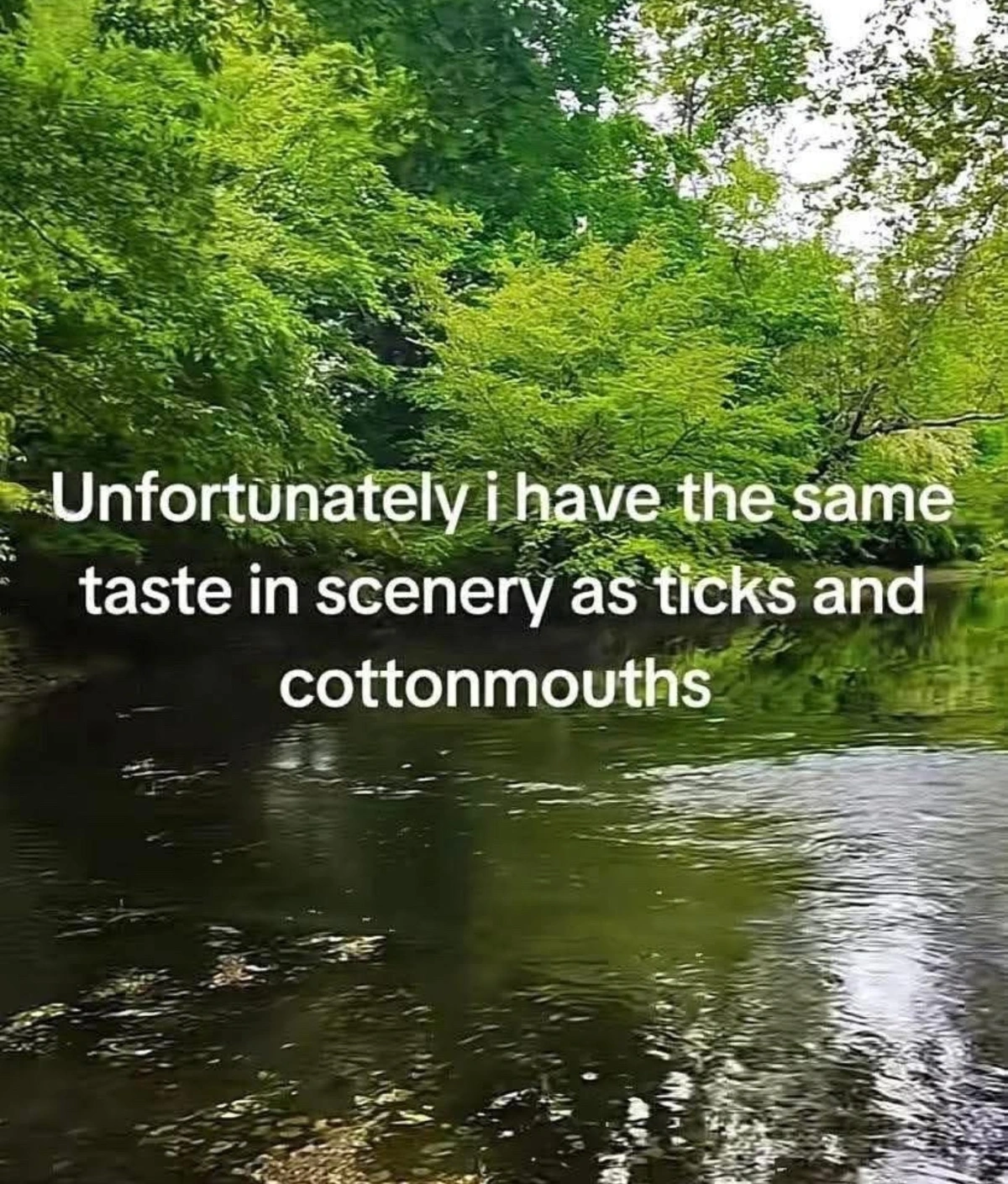 A photograph of a river running through a forest. The caption reads, "unfortunately, I have the same taste in scenery as ticks and cottonmouths"