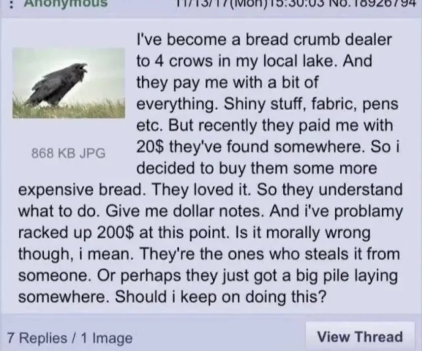 I've become a bread crumb dealer to 4 crows in my local lake. And they pay me with a bit of everything. Shiny stuff, fabric, pens etc. But recently they paid me with 20$ they've found somewhere. So i decided to buy them some more expensive bread. They loved it. So they understand what to do. Give me dollar notes. And i've problamy racked up 200$ at this point. Is it morally wrong though, i mean. They're the ones who steals it from someone. Or perhaps they just got a big pile laying somewhere. Should i keep on doing this?
