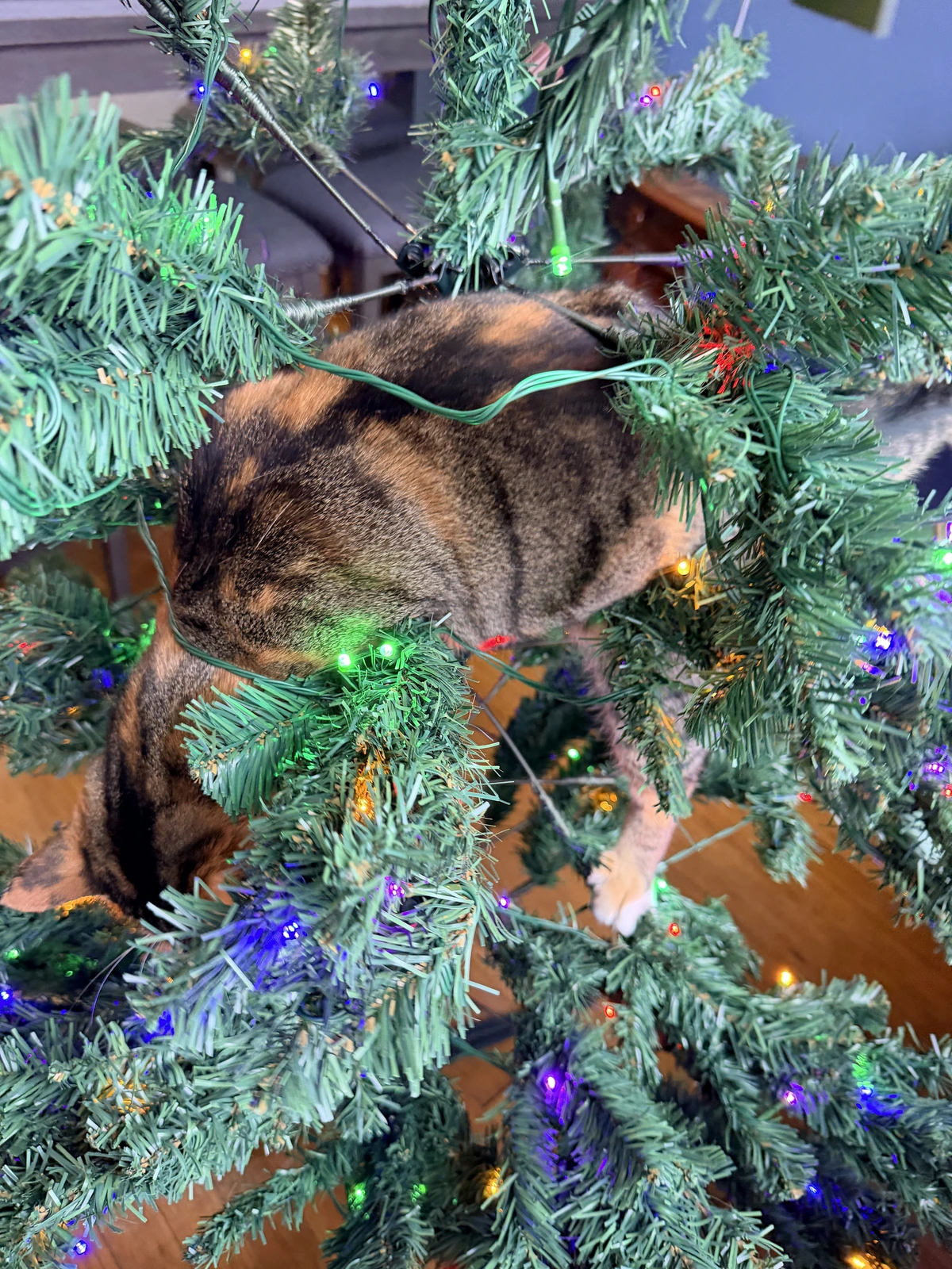 This is why I can’t have nice things.