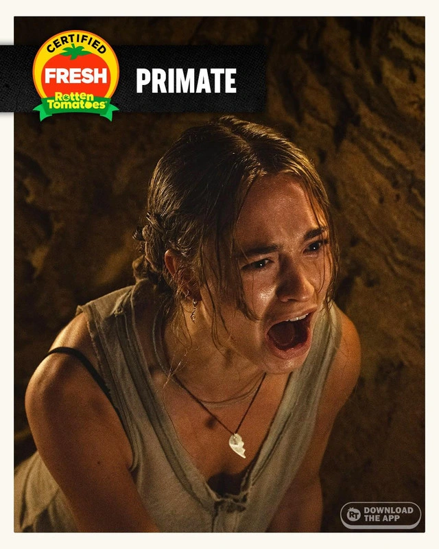 "Primate" is now Certified Fresh with 77% on Rotten Tomatoes