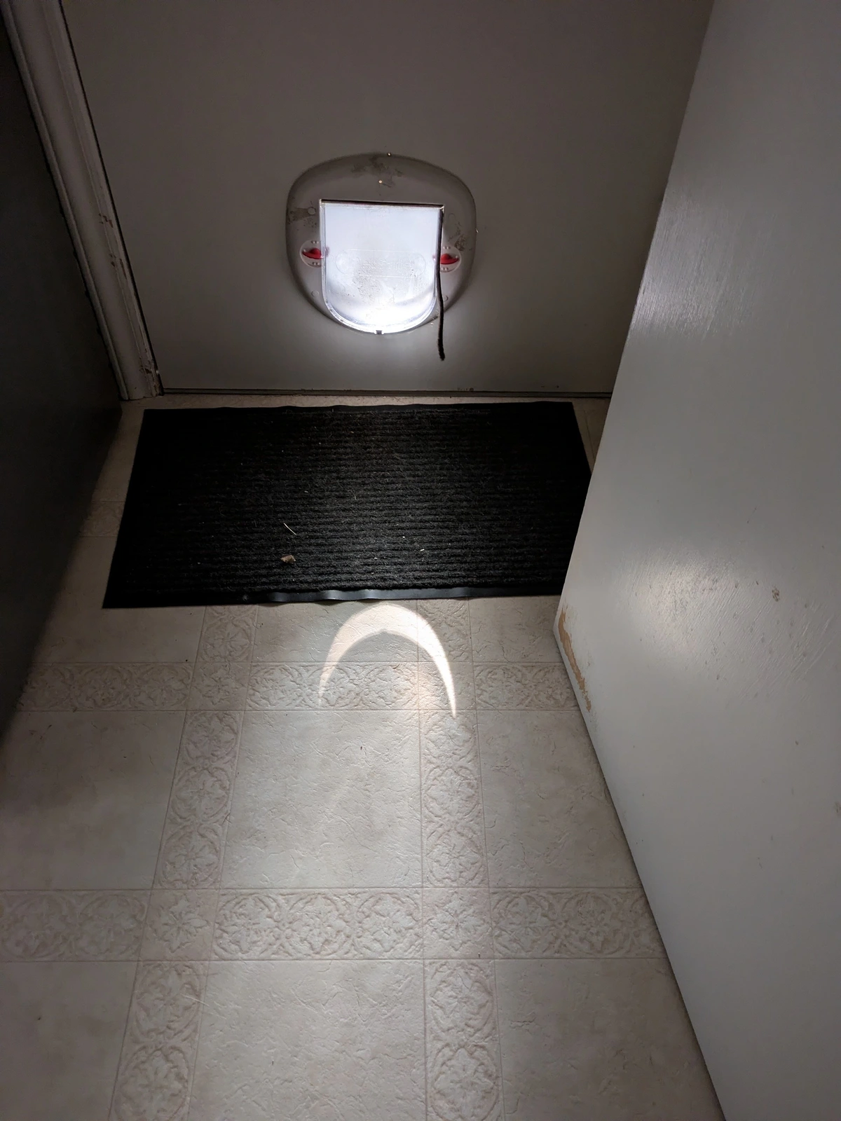Sun light through cat door 