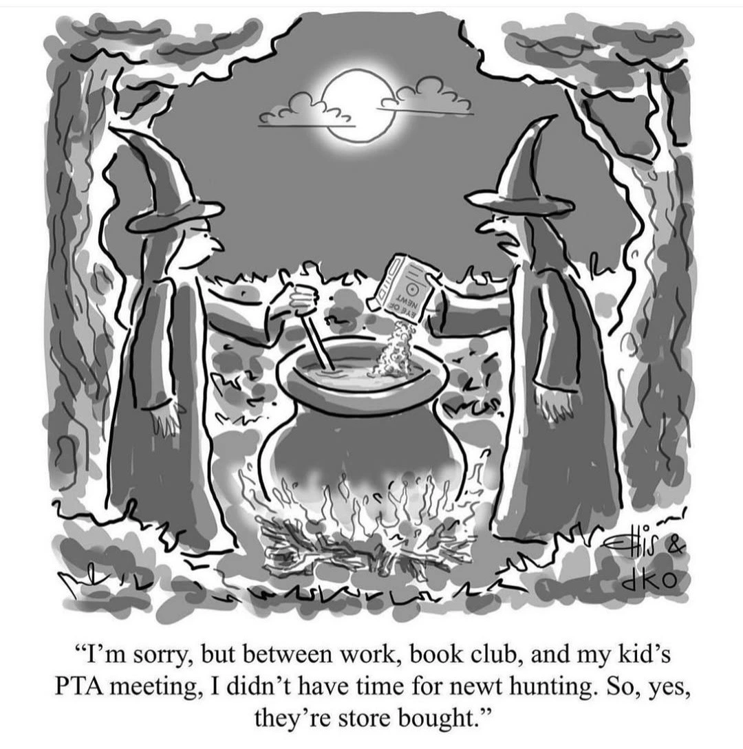 2 witches by a cauldron one saying "between work book club and my kids PTA meeting i didn't have time for newt hunting so yes they're store bought"